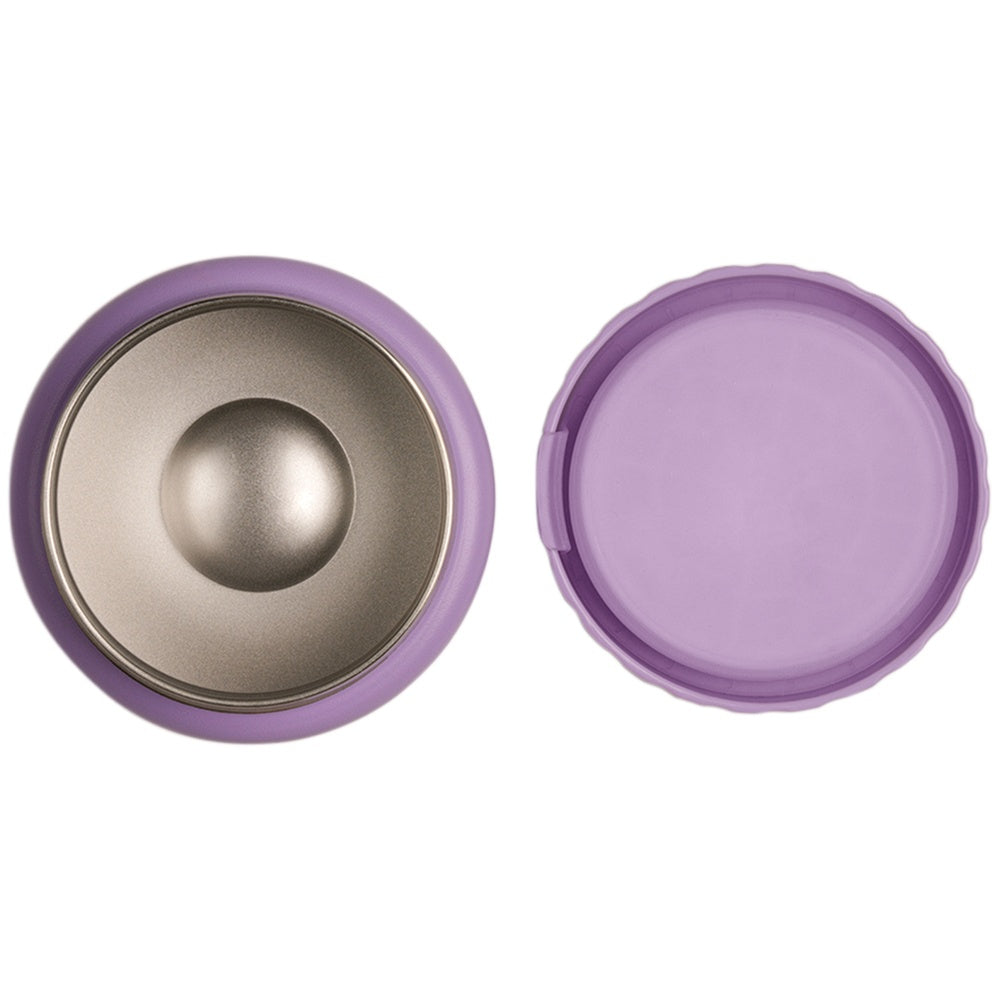 Citron Food Jar Insulated Stainless Steel 250ml - Purple