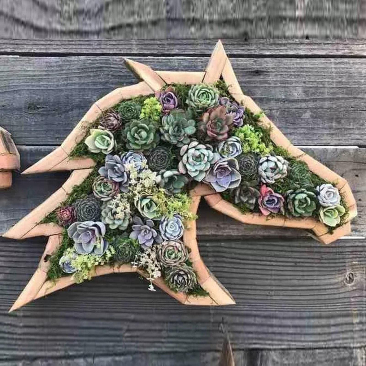 Animal Shaped Wooden Planter Succulent Flower Pot Garden Outdoor Decorations