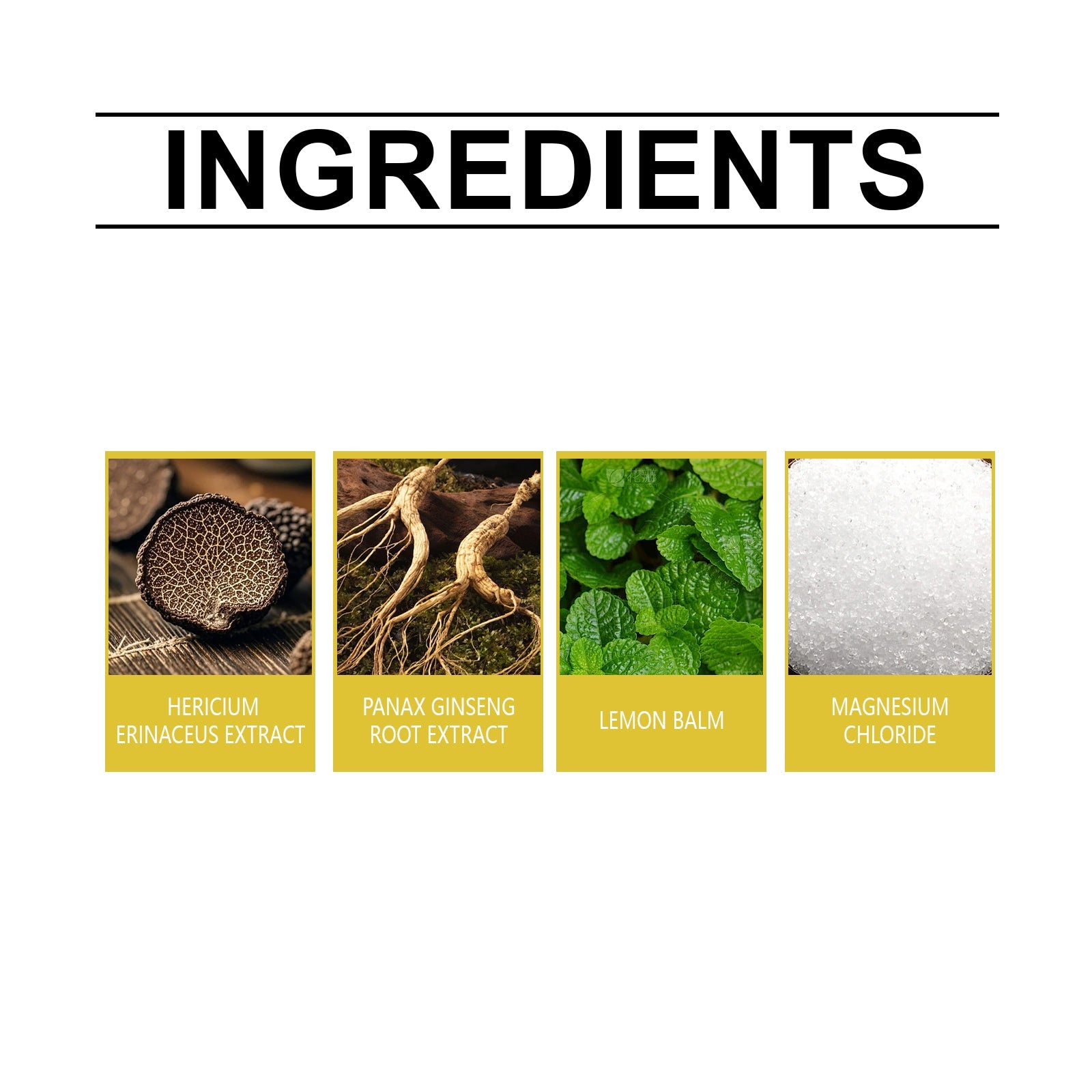Boost Focus and Vitality with Plant Drops, Natural Brain Support, Daily Energy ,60ml
