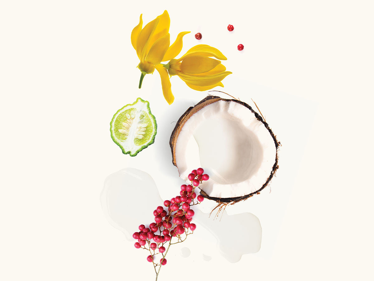 Hili Extrait de Parfum 50ml