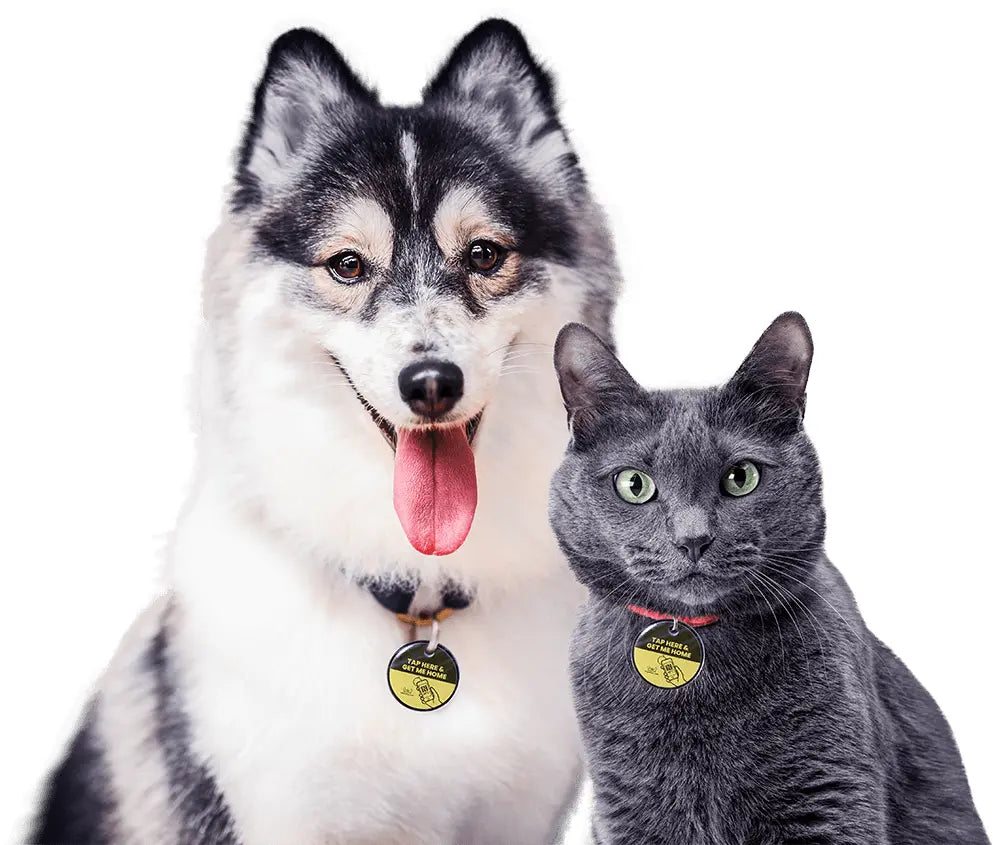 The Pet Tap Smart Pet NFC ID Locator Tag