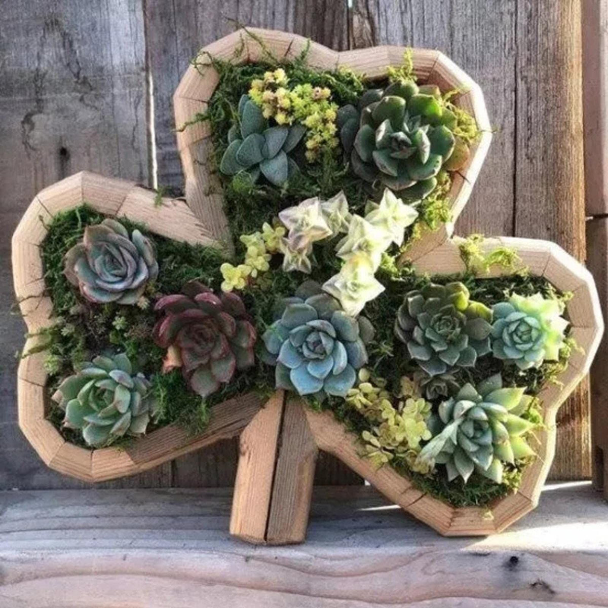 Animal Shaped Wooden Planter Succulent Flower Pot Garden Outdoor Decorations