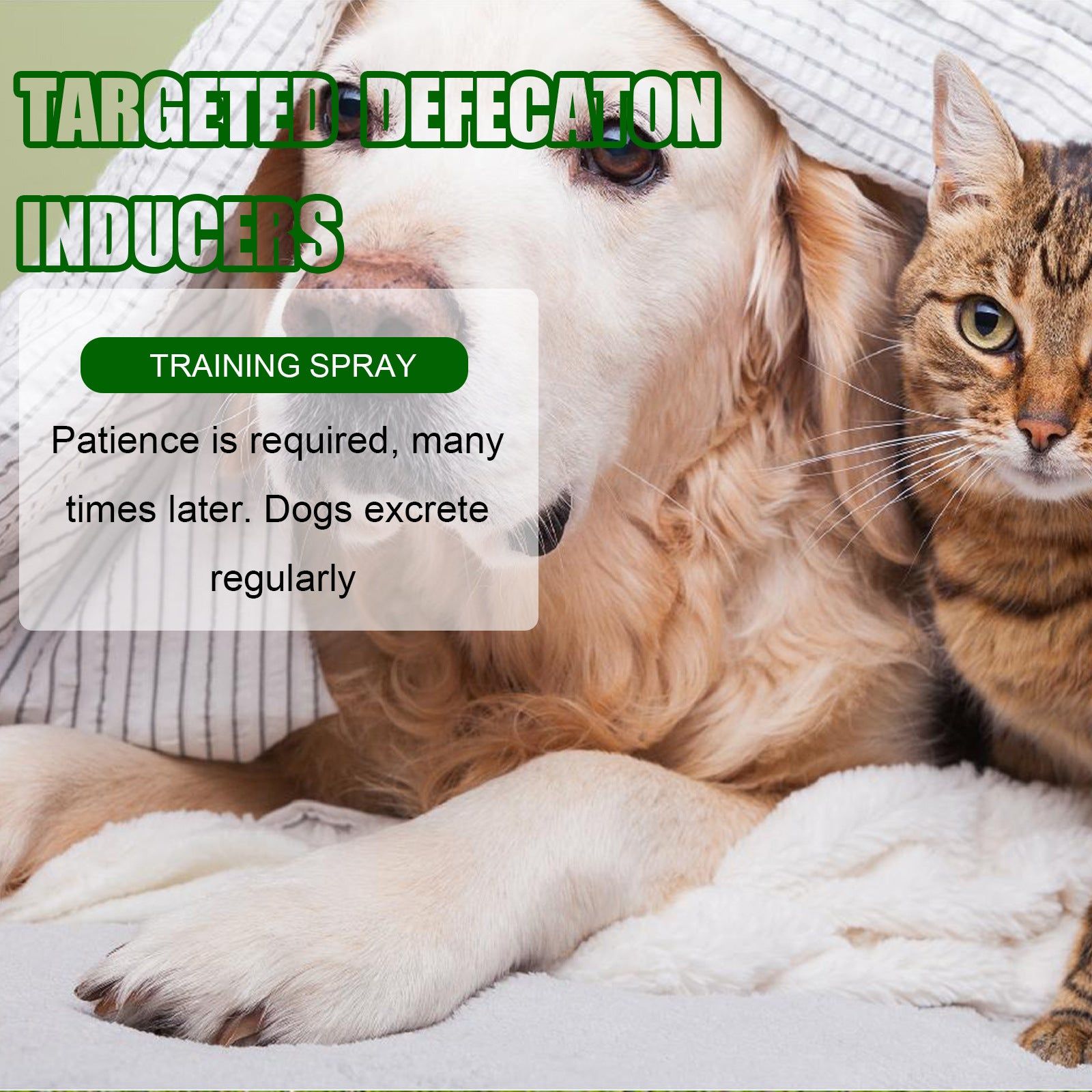 Pet Toilet Induction Spray, Potty Training Made Easy, Fast & Effective ,30ml