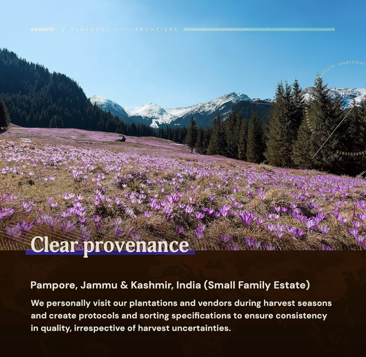 Rasayanam Kashmiri Mongra Saffron 1gm