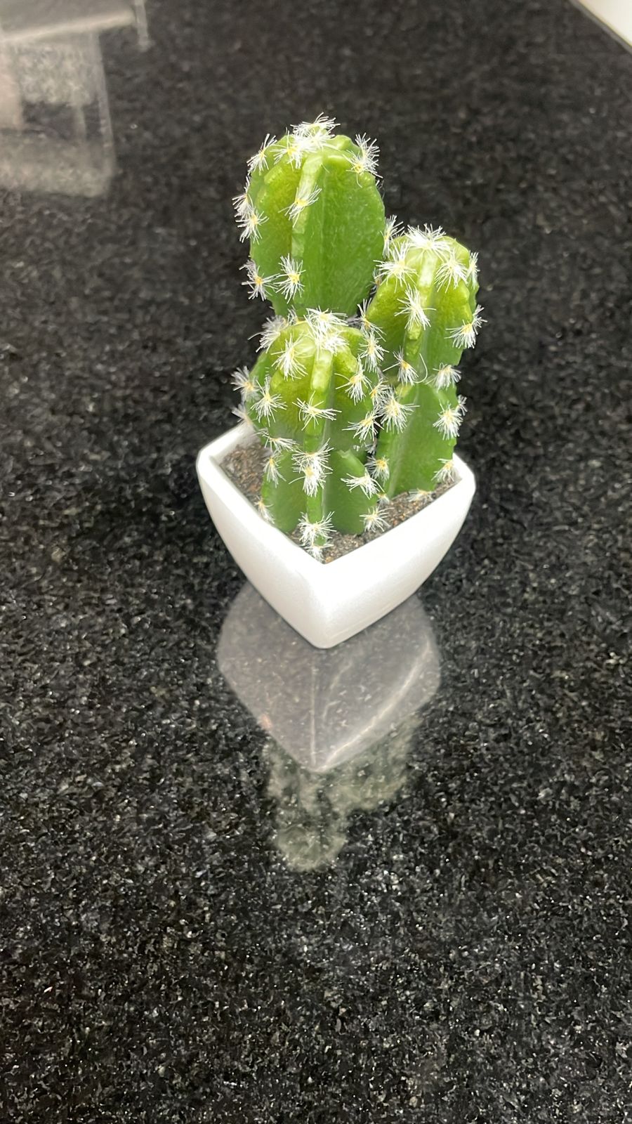 Casabella Artificial Cactus in Pot, 4 Assorted Designs