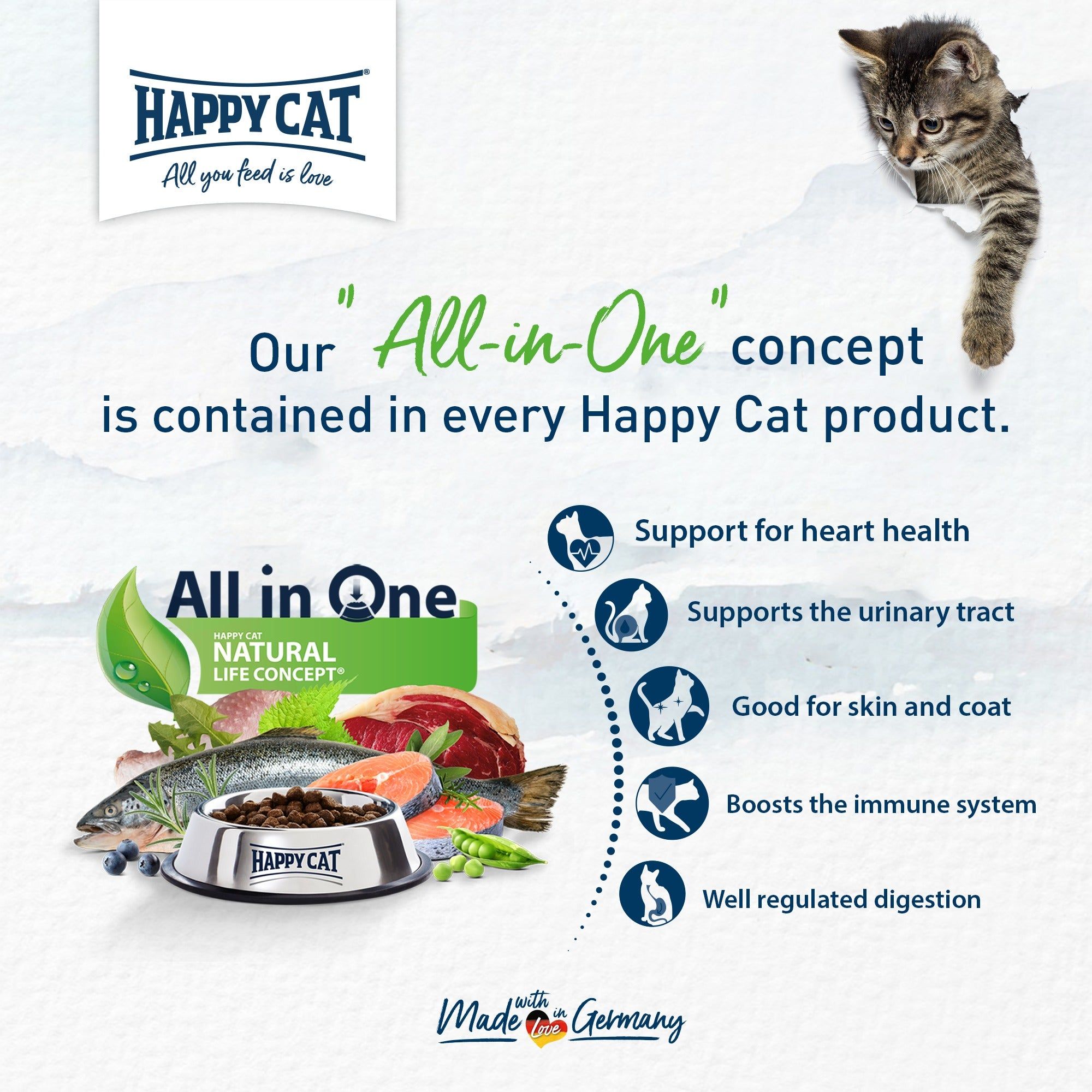 Happy Cat Minkas: العناية بالقطط الصغيرة