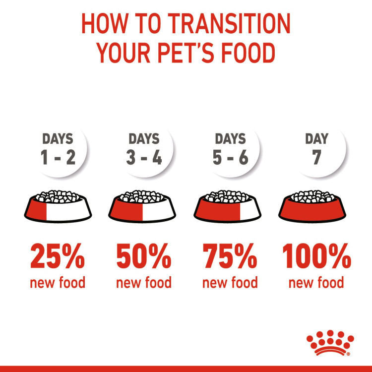 Royal Canin Feline Health Nutrition (Kitten)