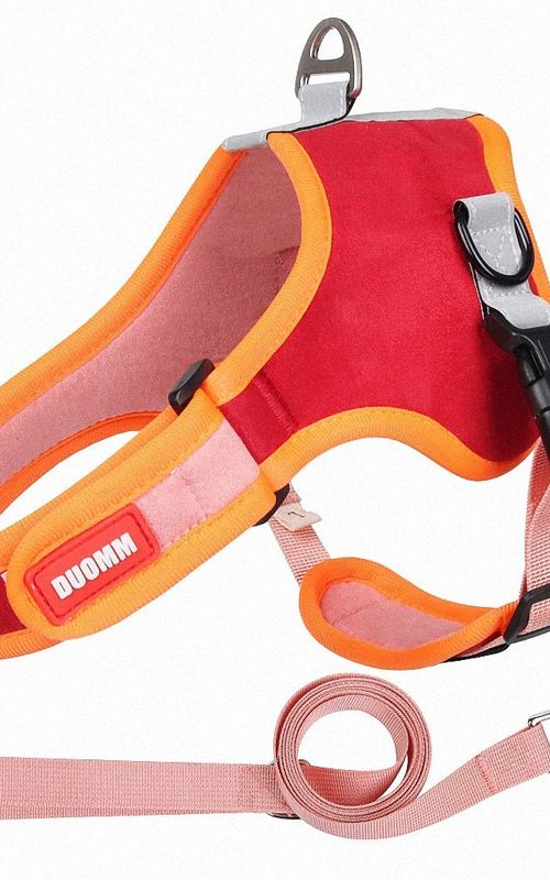 Dog Harness Leash Set Outdoor Reflective Breathable Adjustable Pet Vest