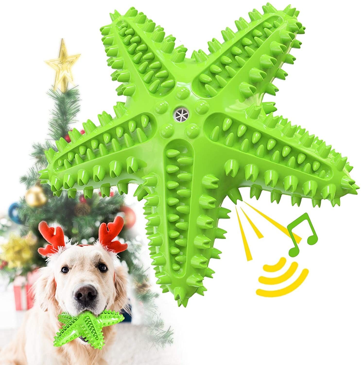 Dog Chew Toy Toothbrushes Starfish Squeaky Molar