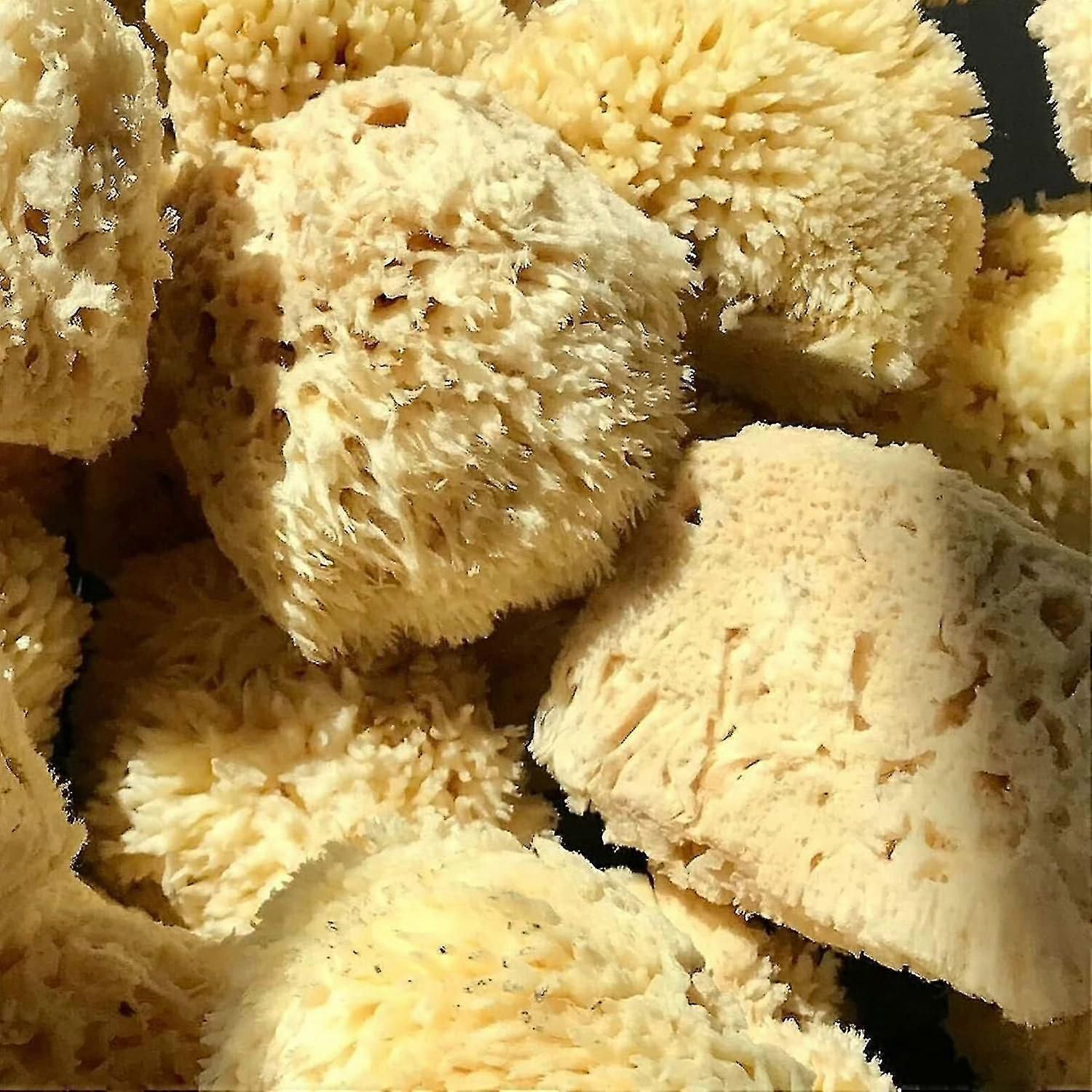 Natural Sea Wool Bath Sponge for Face and Body Cleansing