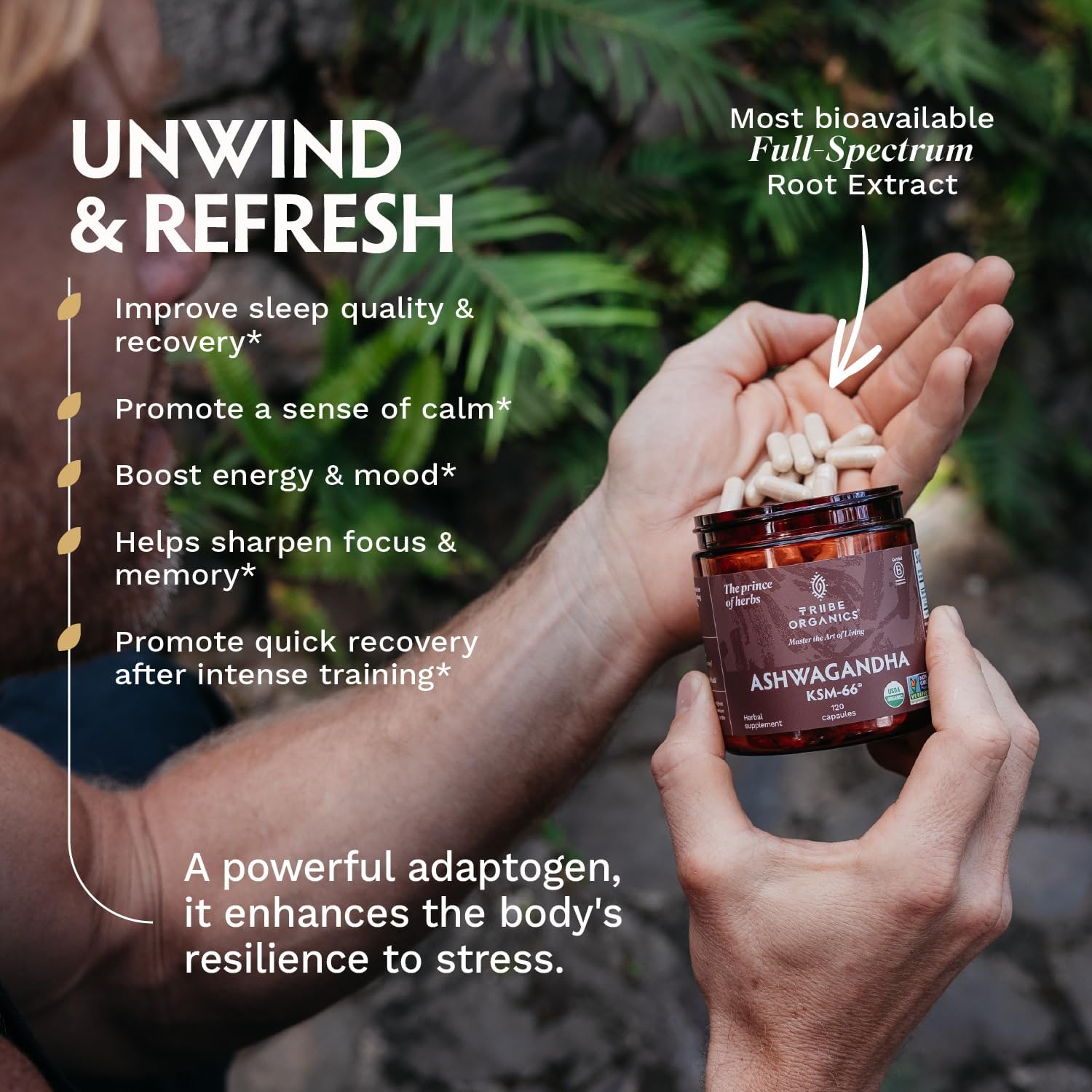 Tribe Organics Ashwagandha KSM 66 Pure Organic Root Powder 90 Capsules