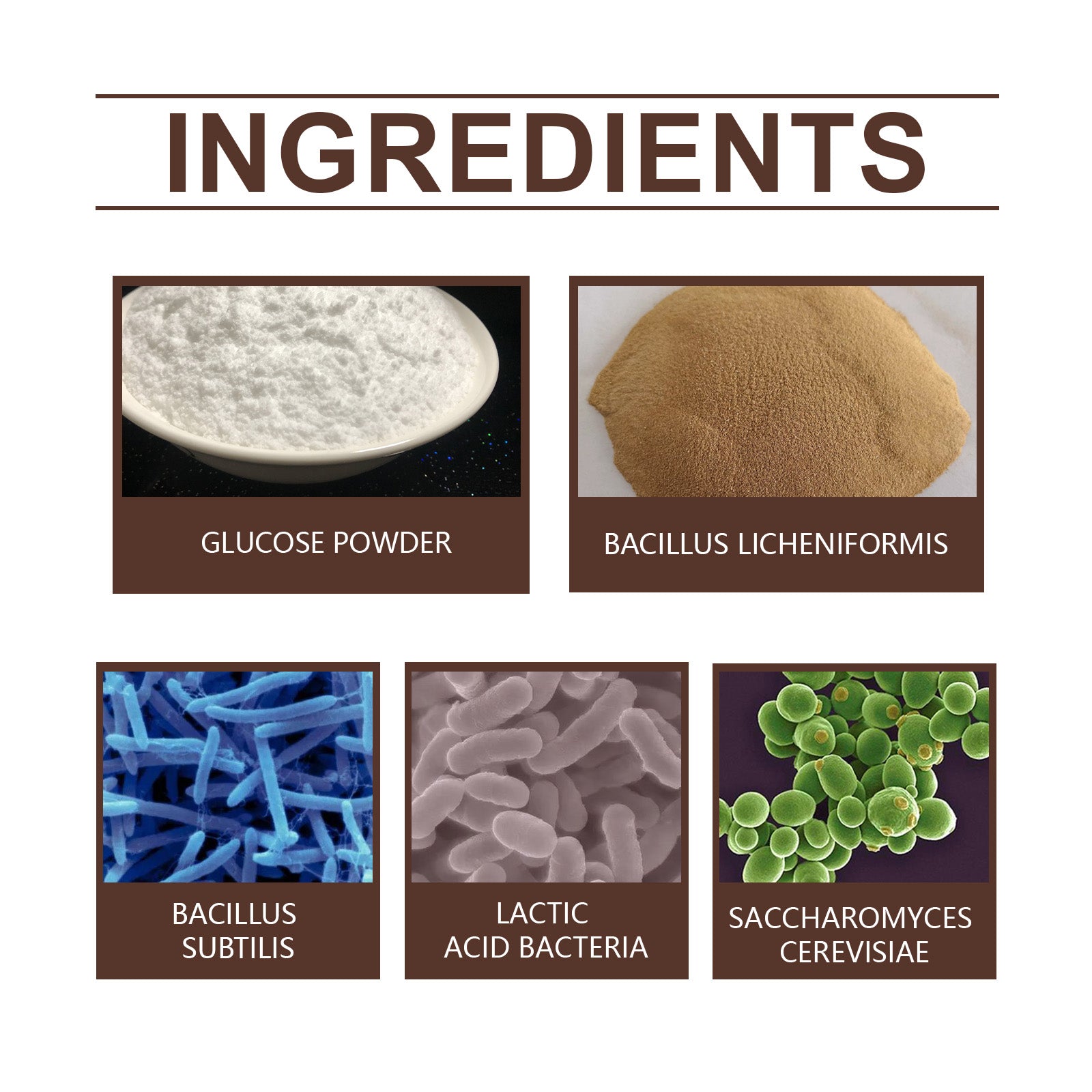 Boost Plant Nutrients Organic Biocatalyst, Soil Fertility, Healthy Growth, Easy Use ,100g