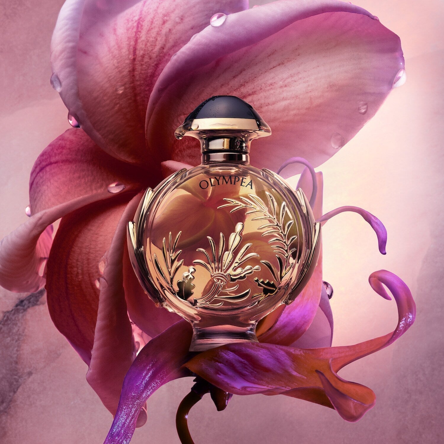 عطر أوليمبيا سولار المكثف