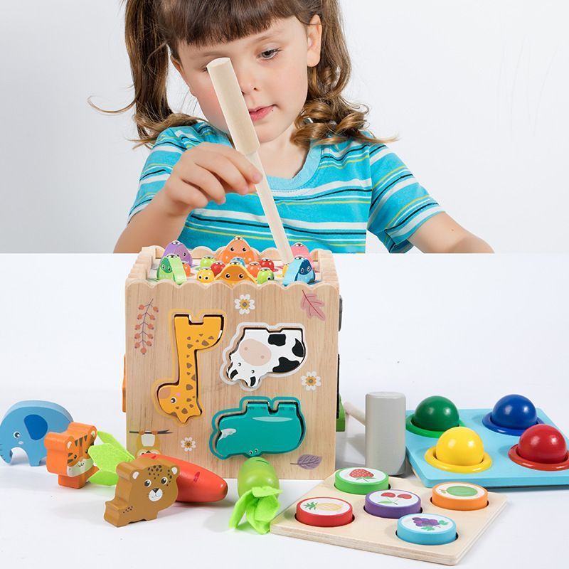 Wooden Montessori Toys Shape Sorter Wooden Puzzle Shape Matching Toys Toddlers Gift