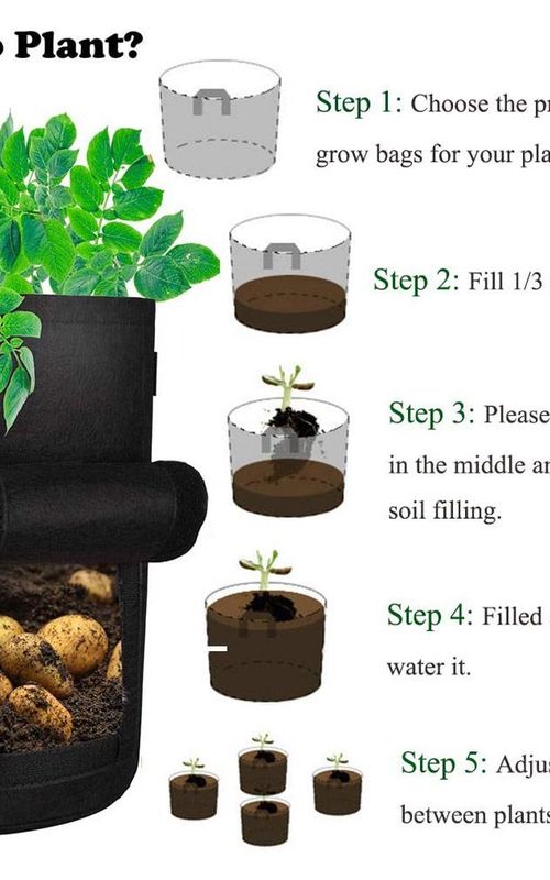 2 Pack Potato Growing Bags Photato Pot Vegetable Growing Container With Flap And Handles