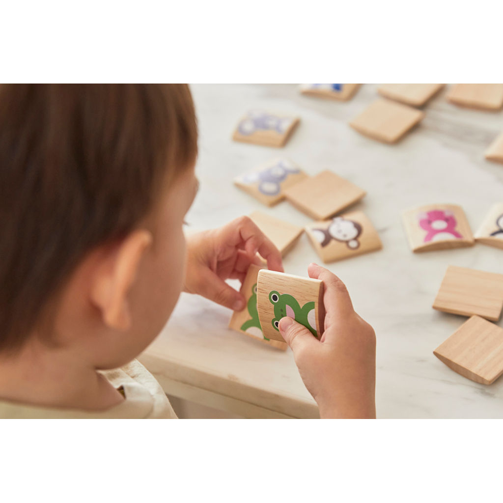 PlanToys Animals Memo