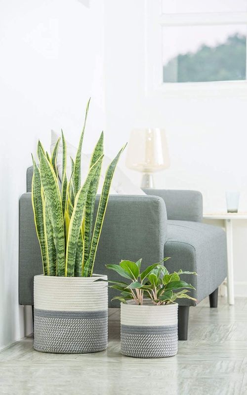 Mini Woven Jute Cotton Rope Plant Storage Basket for Home