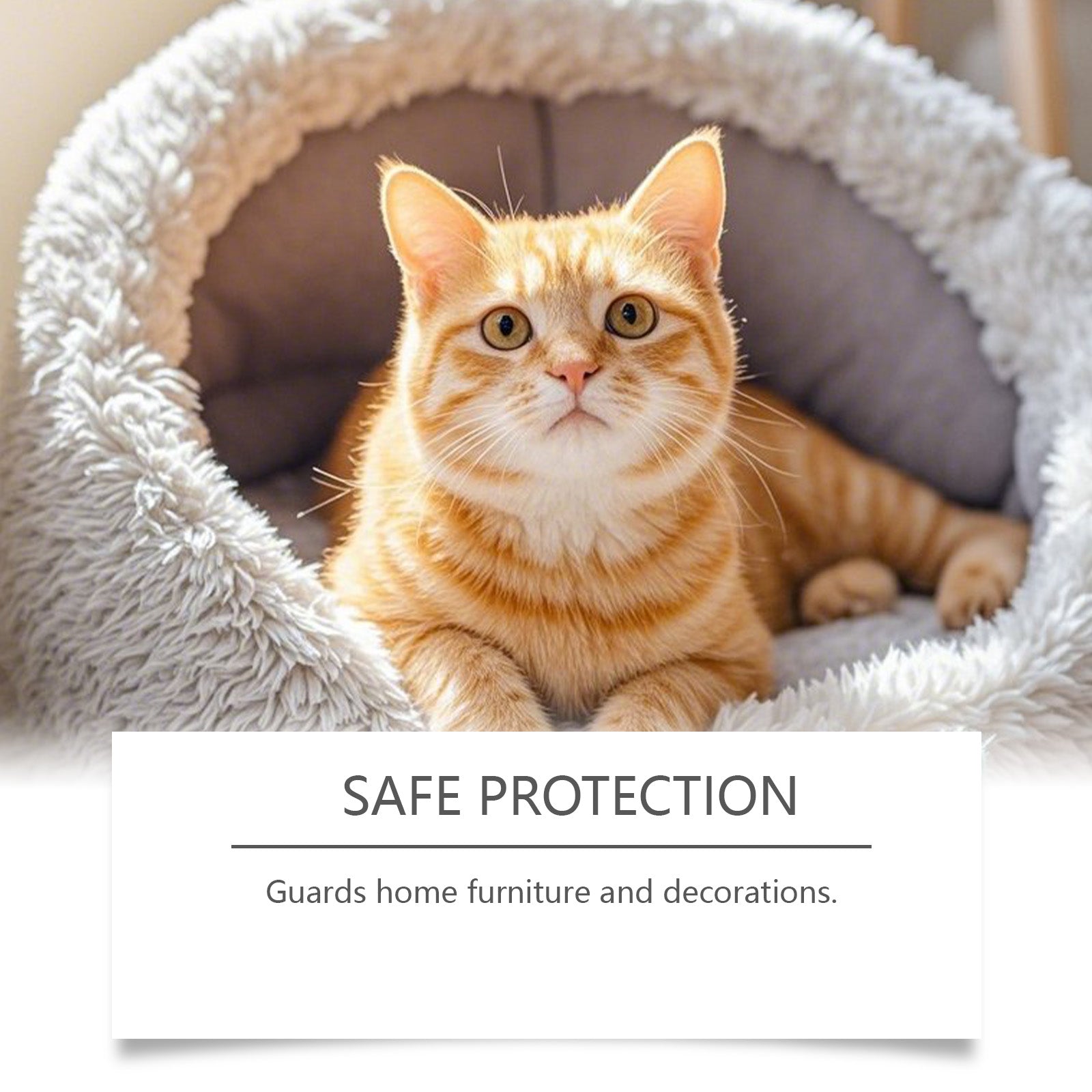 Cat Training Spray, Pet Behavior Corrector, Dog and Cat Supplies, Eliminate Destructive Habits ,60ml
