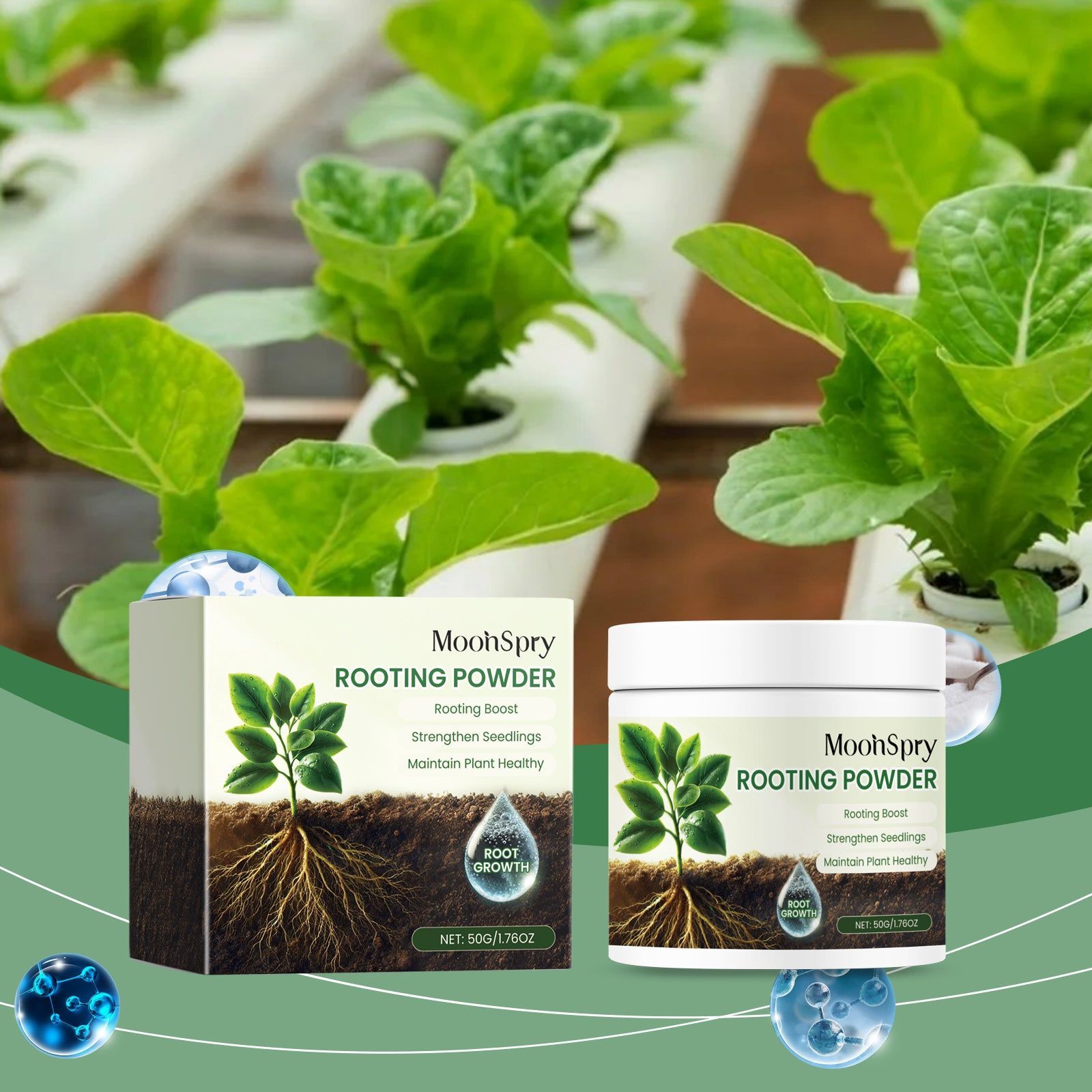 Boost Plant Nutrient Root Powder, Enhance Growth, Increase Yield, Stronger Plants ,50g