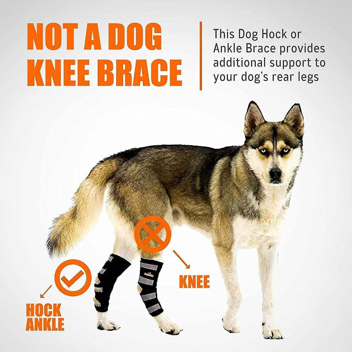 1 Pair Dog Rear Leg Brace Canine Rear Hock Joint Support With Safety Reflective Straps