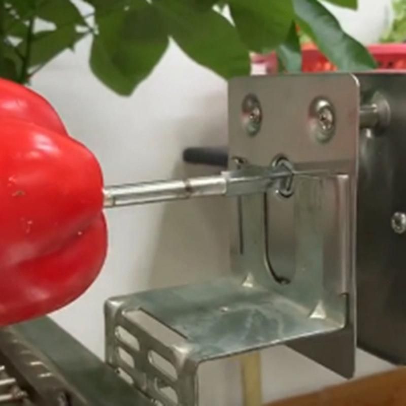 Electric BBQ Rotisserie Motor For Grill Spit Rotation