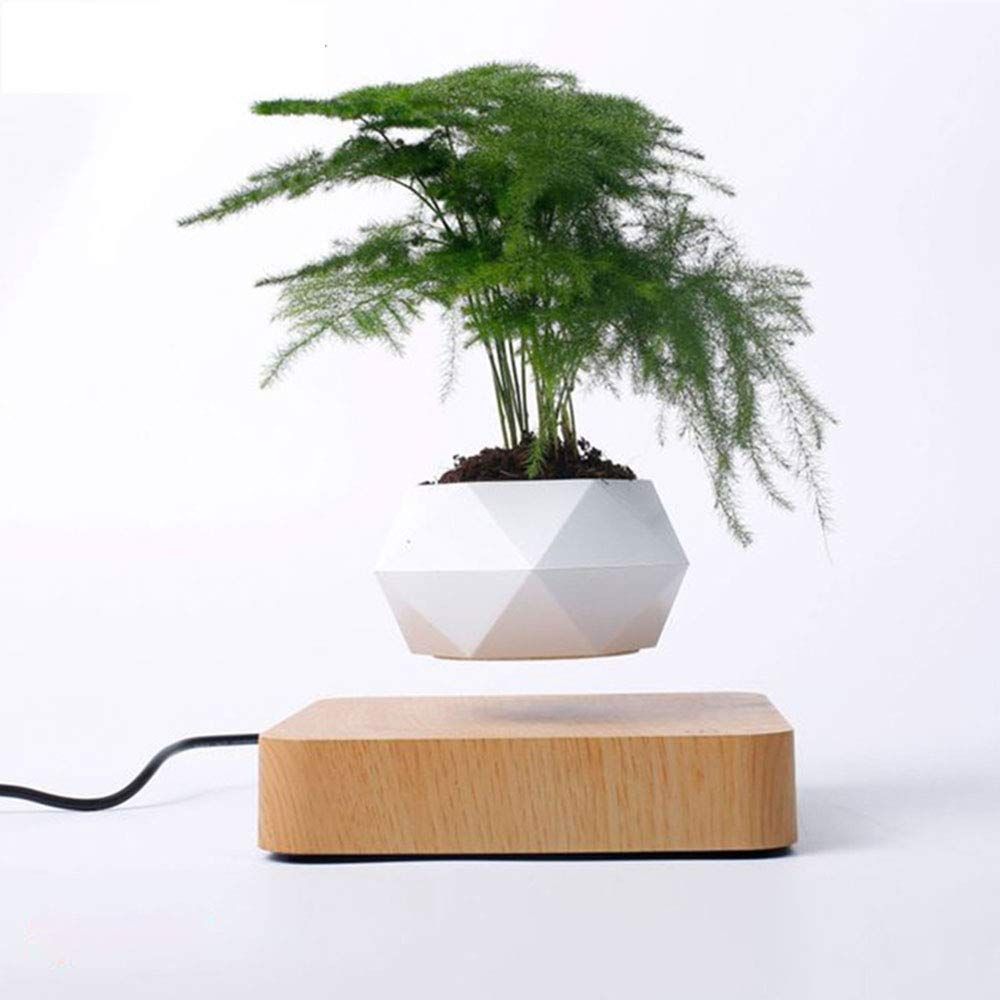 Levitating Air Bonsai Pot Magnetic Levitation Floating Pot Potted Plant Desk Dcor