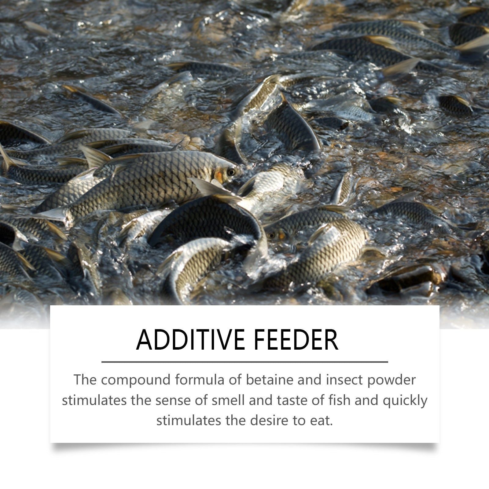Decoy Bait Feeder, Fish Attractor for Carp, Freshwater, Easy to Use ,100ml