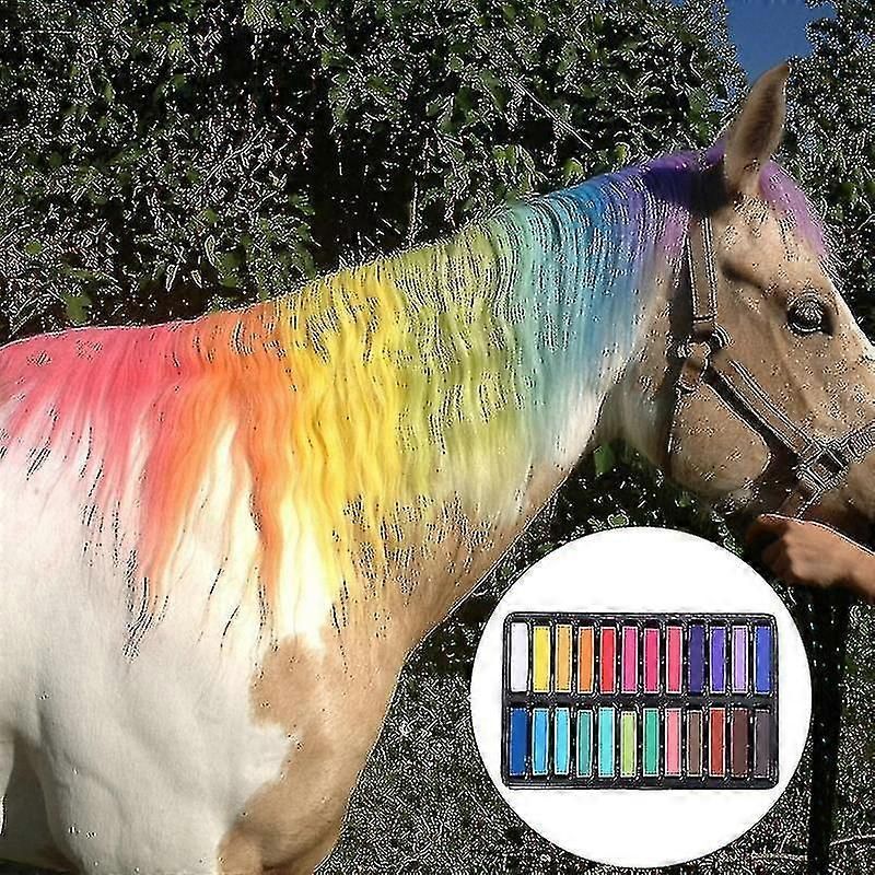 Hair Chalk Temporary Color Styling Kit for Hair Dye