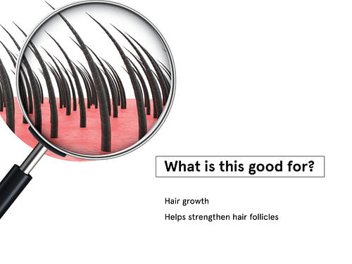 مجموعة كلينستا وبي بوديوايز لإحياء الشعر