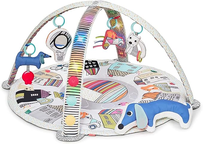 Skip Hop Vibrant Village Activity Gym