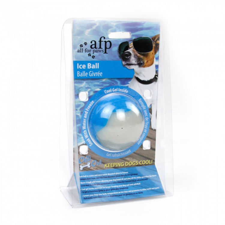All For Paws Chill Out Ice Ball