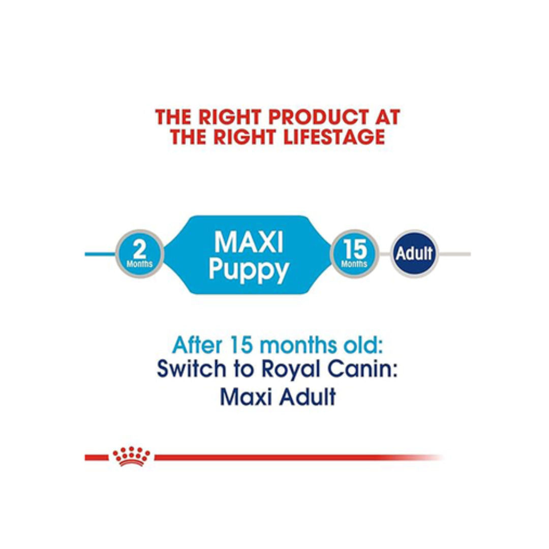 Royal Canin Maxi Puppy Wet Dog Food in Gravy, 140gm, Pack of 10