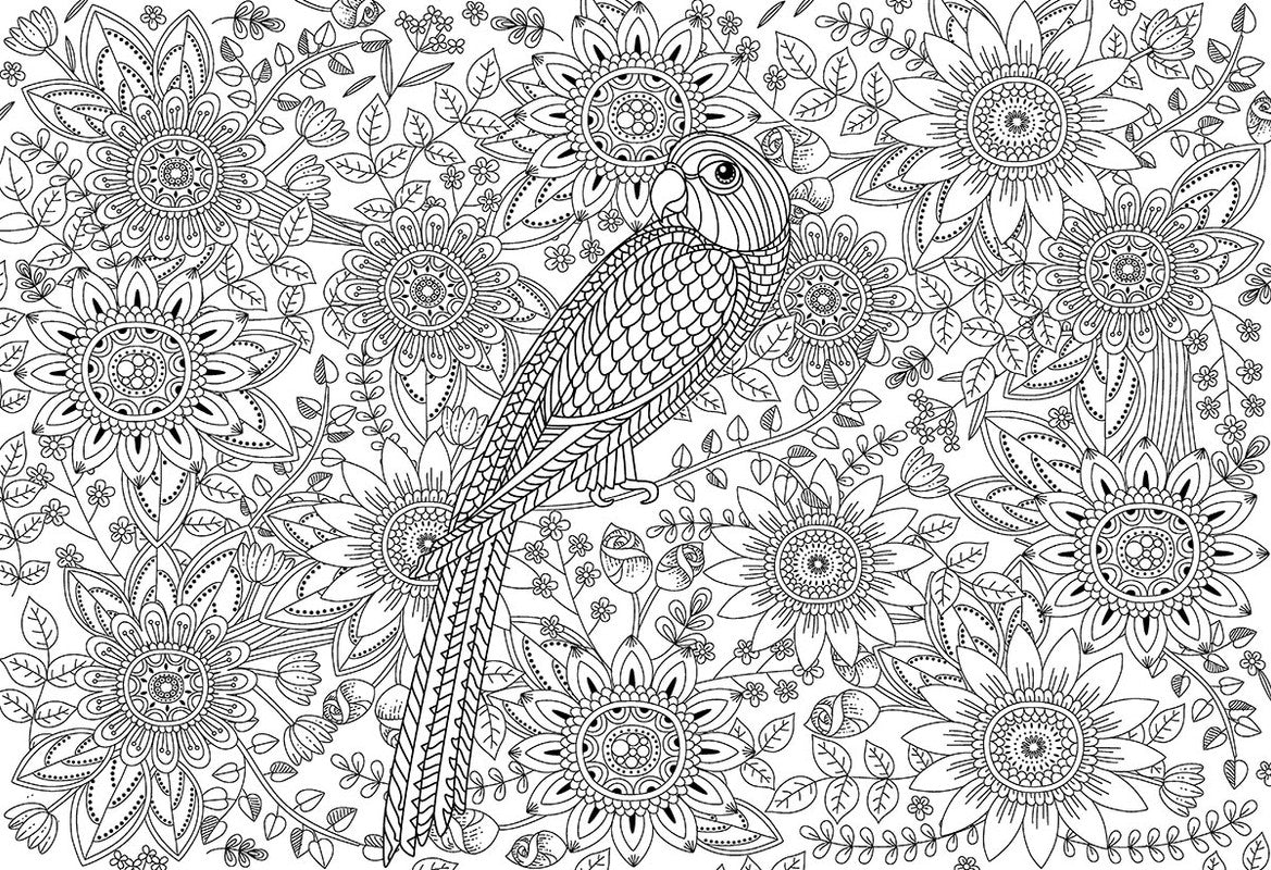 Color Me Beautiful Garden 300 Pieces Puzzle