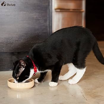 Thrive Cat Chicken Dry Food - 1.5kg (Near Expiry)