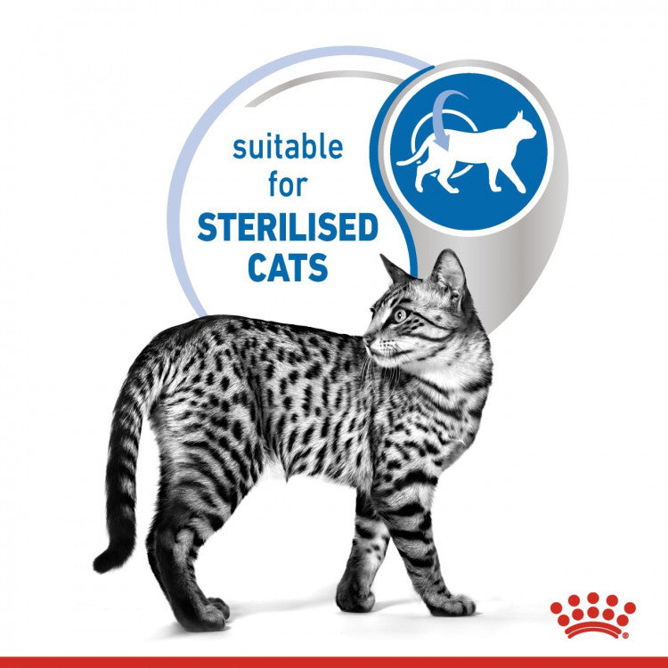 Royal Canin Feline Health Nutrition Indoor 7+ - 12 Wet Food Pouches