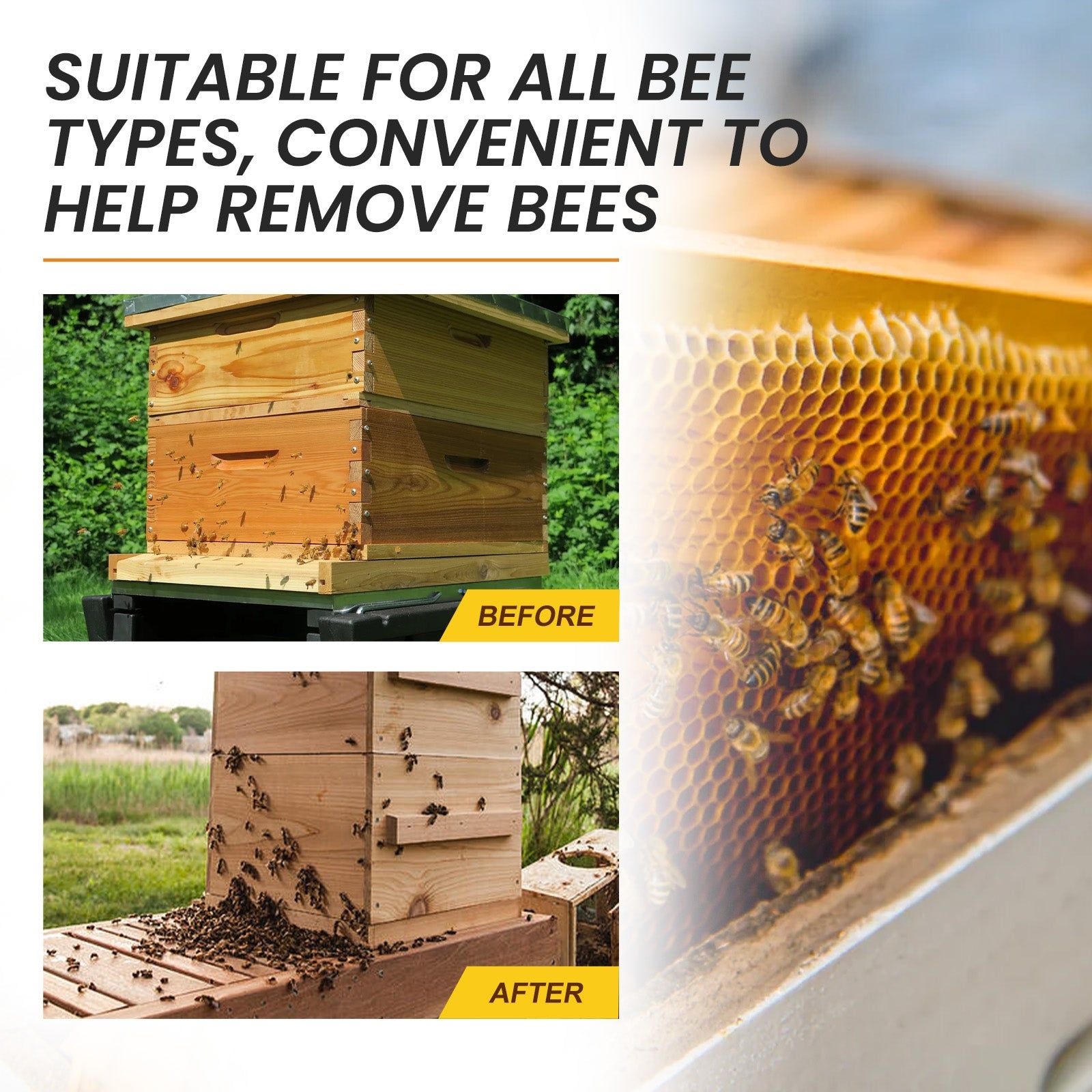 Boost Your Horticultural Beekeeping with Bee Attractant, Quick & Effective ,30ml