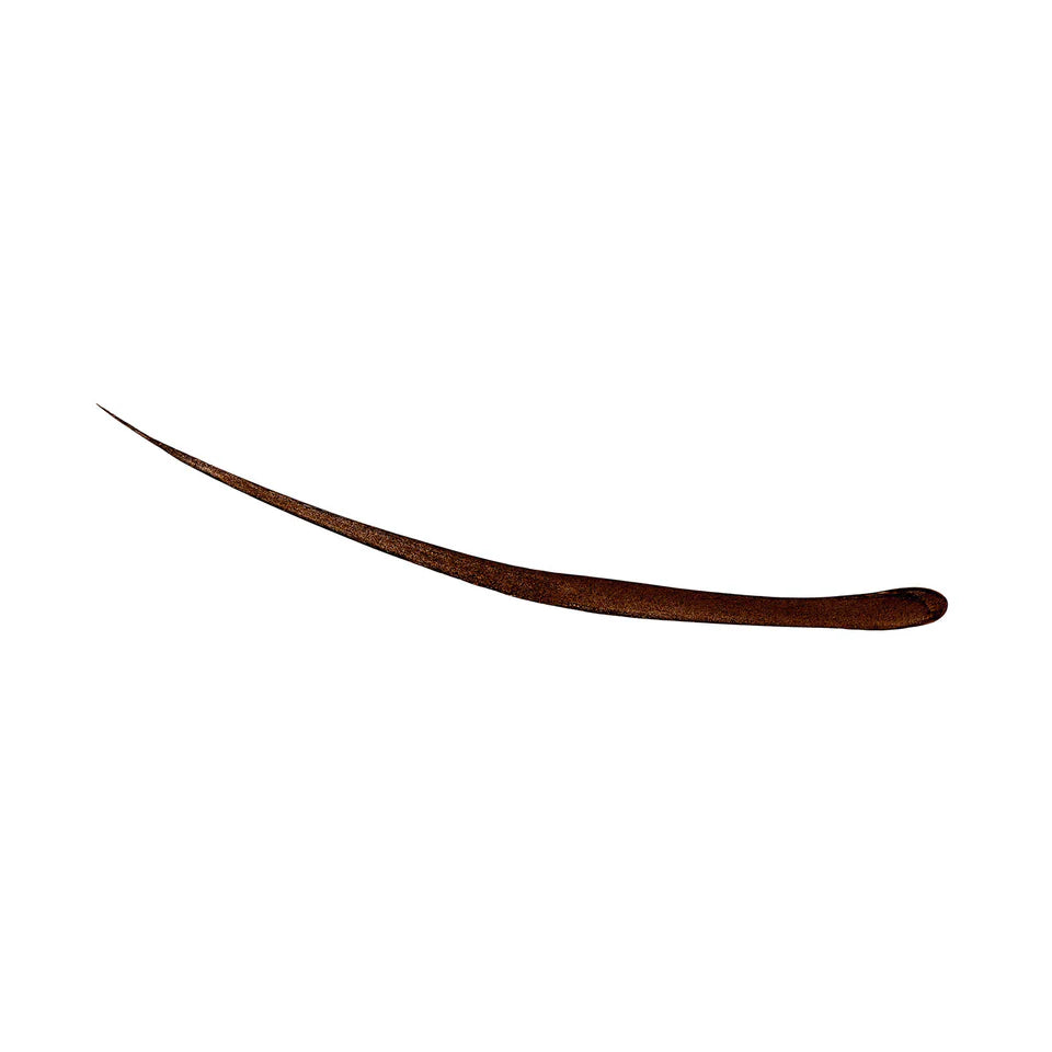 Eye Liner