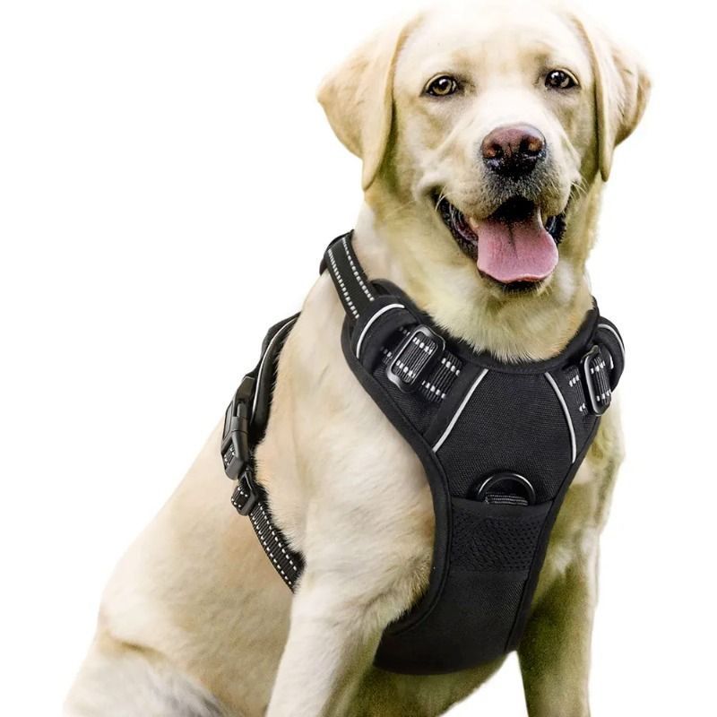 Dog Harness No Pull Pet Harness with 2 Leash Clips Adjustable Soft Padded Dog Vest