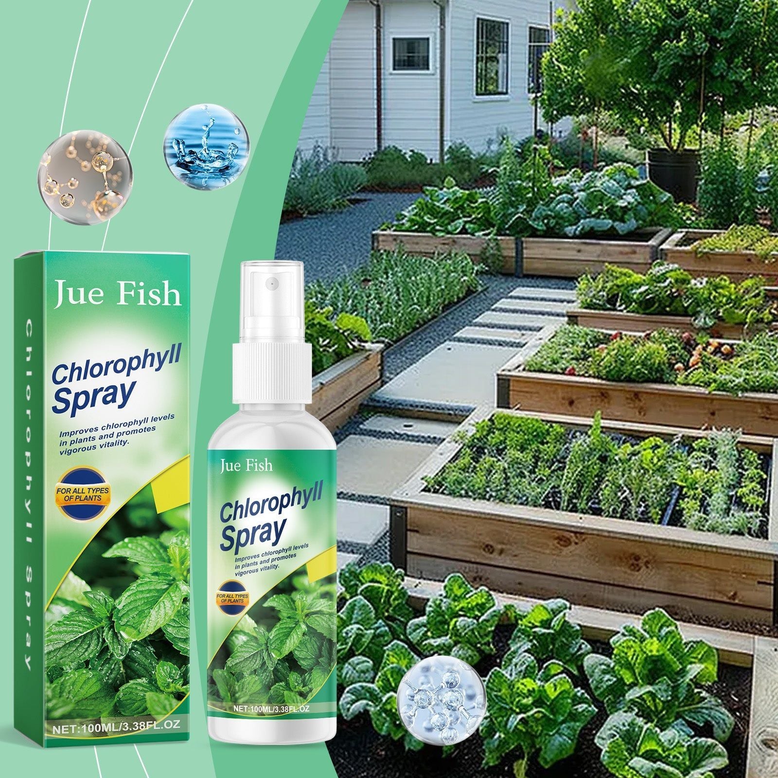 Boost Plant Growth with Chlorophyll Spray, Fertilizer for Healthy Green Plants ,100ml