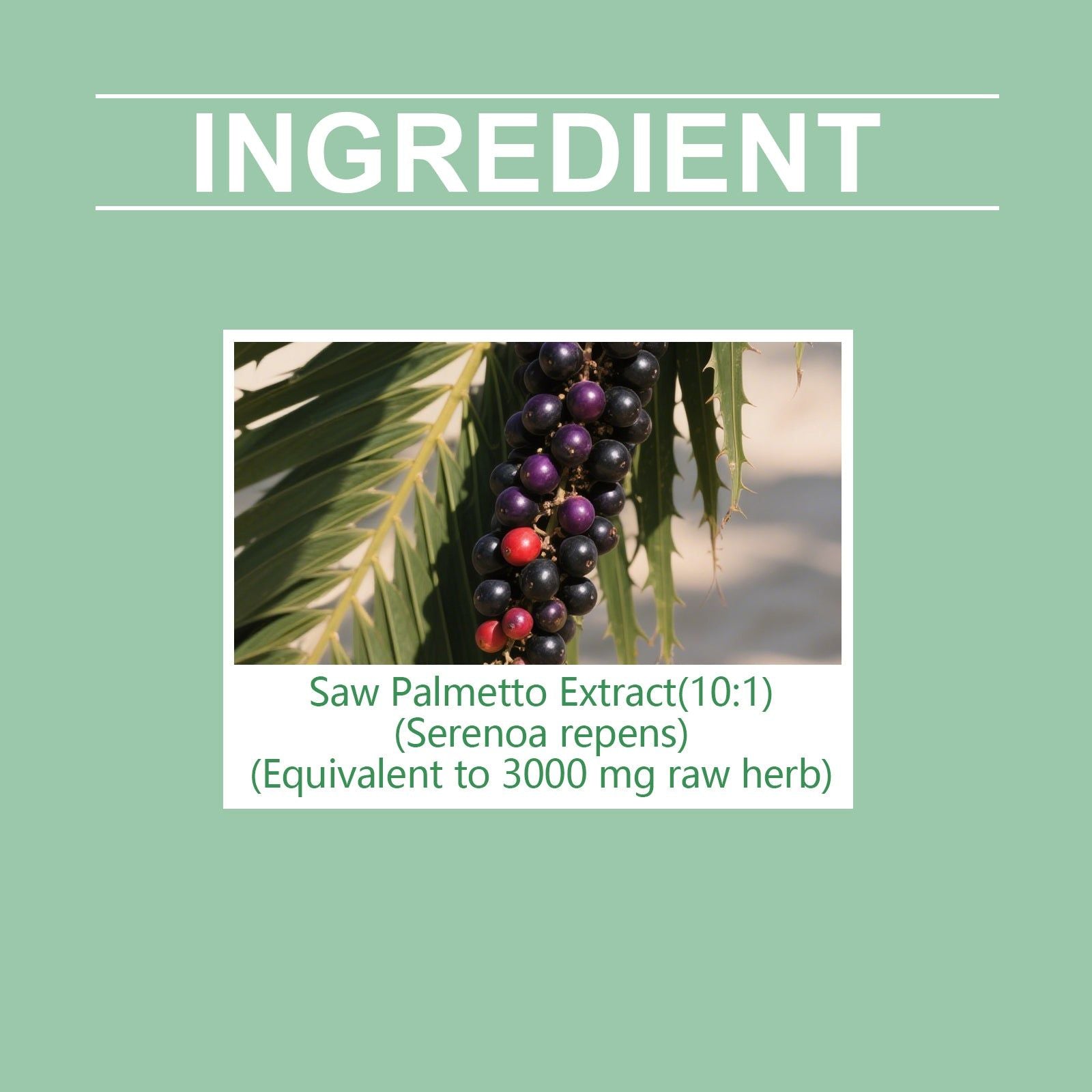 Boost Your Body Care with Tree Palm Supplement Drops for Vitality and Healing ,60ml
