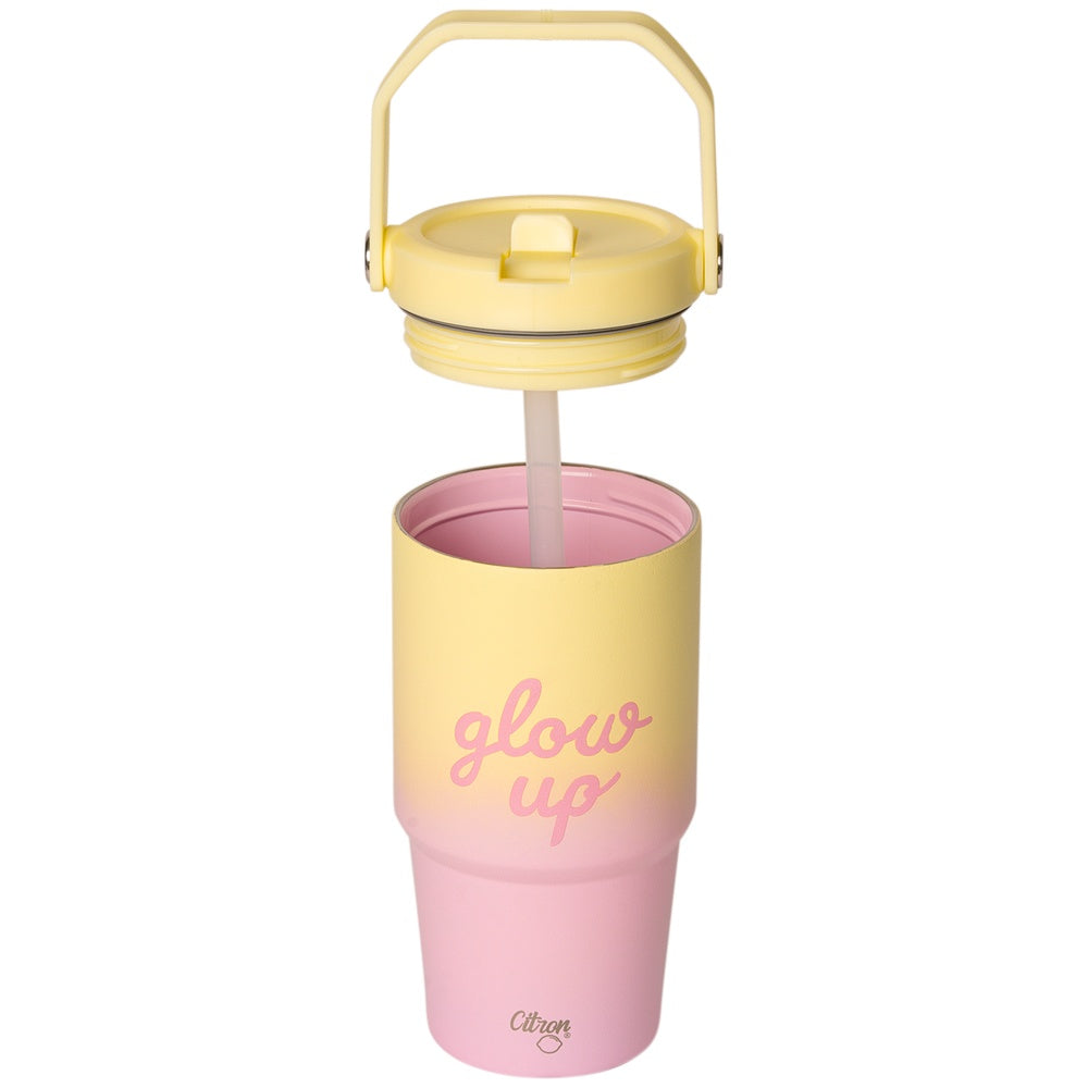 Citron Insulated Tumbler with Handle 600ml – Pink Yellow Glowup