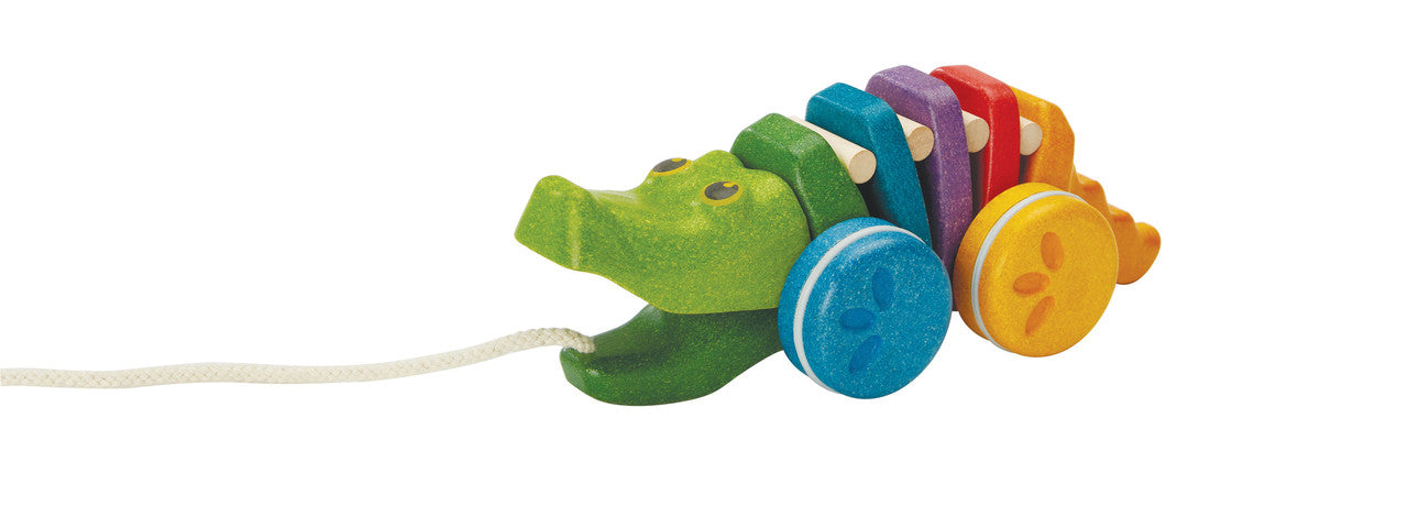 Alligator