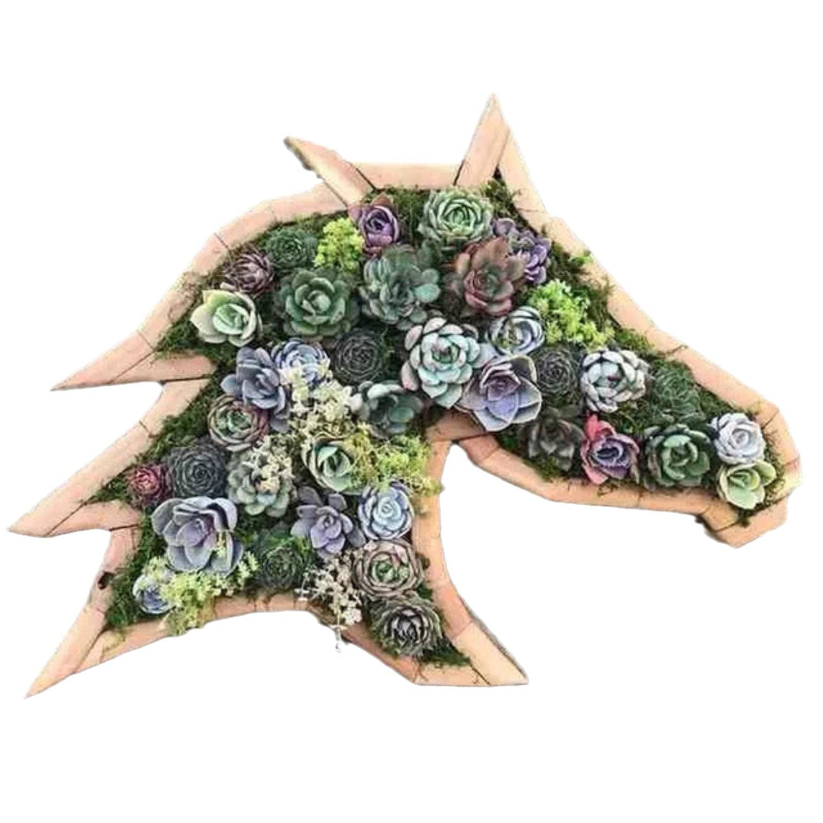 Animal Shaped Wooden Planter Succulent Flower Pot Garden Outdoor Decorations