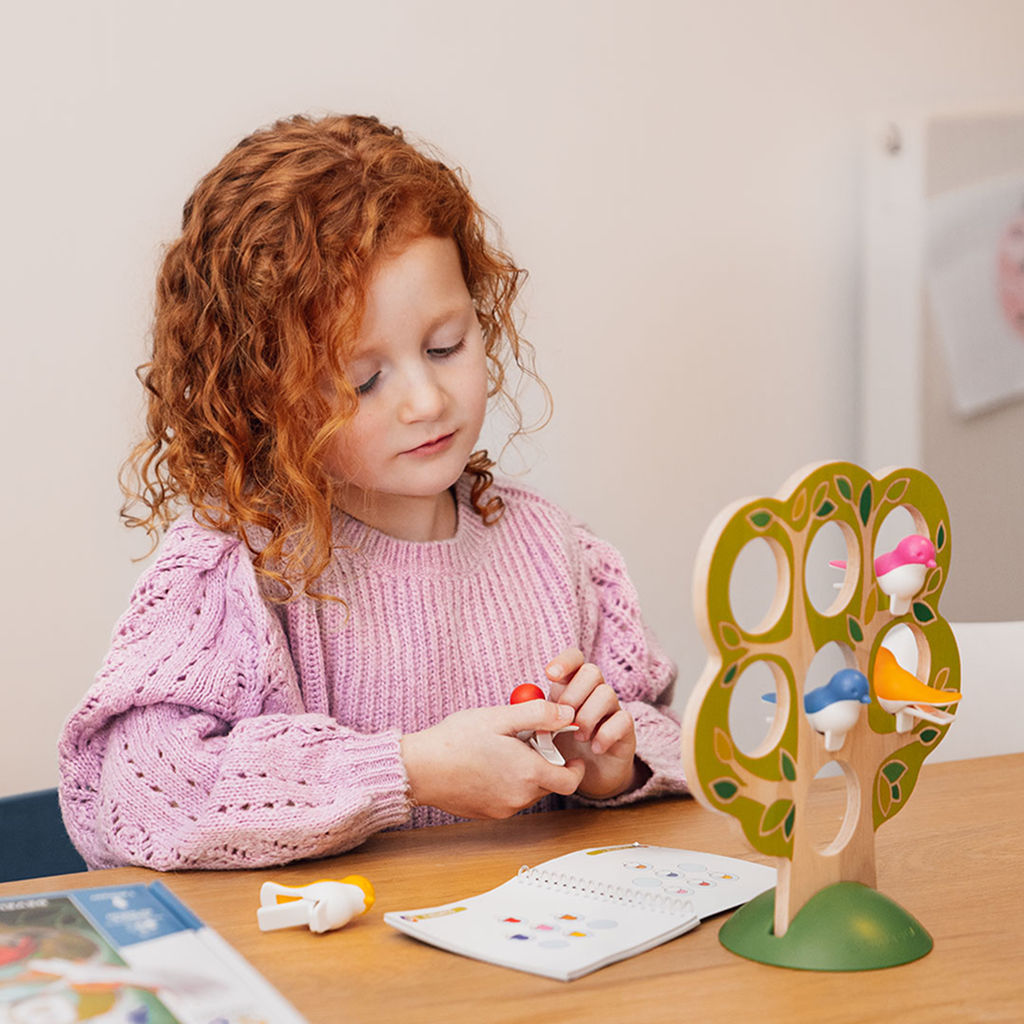 Smart Games 5 Little Birds — لعبة ألغاز منطقية