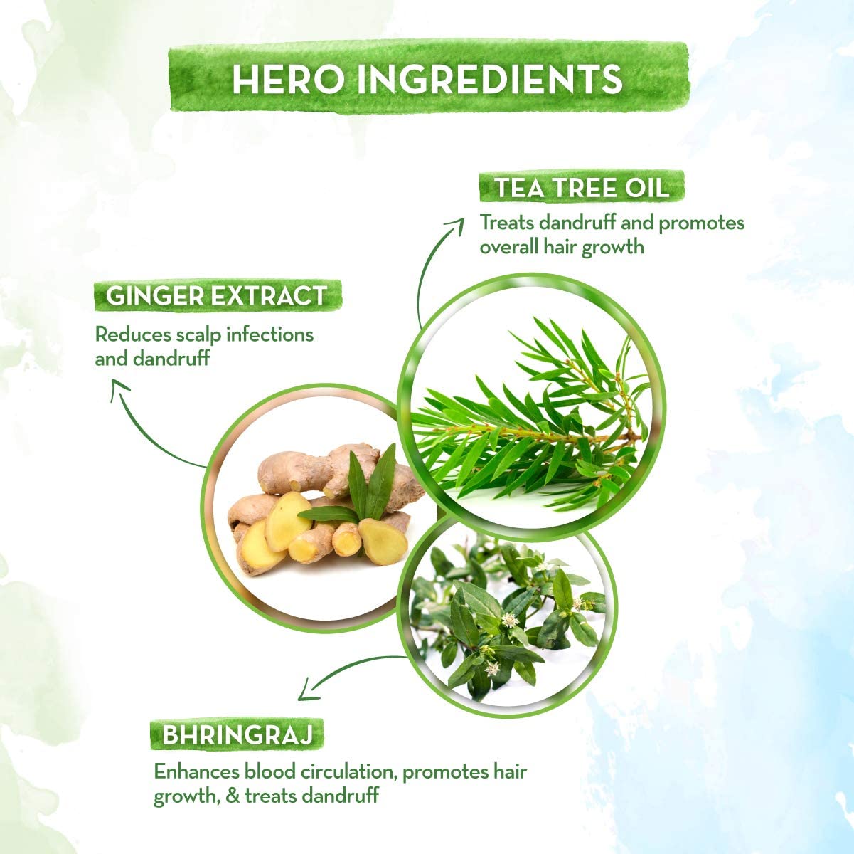 زيت شجرة الشاي من Mamaearth لشعر خالٍ من القشرة 250 مل