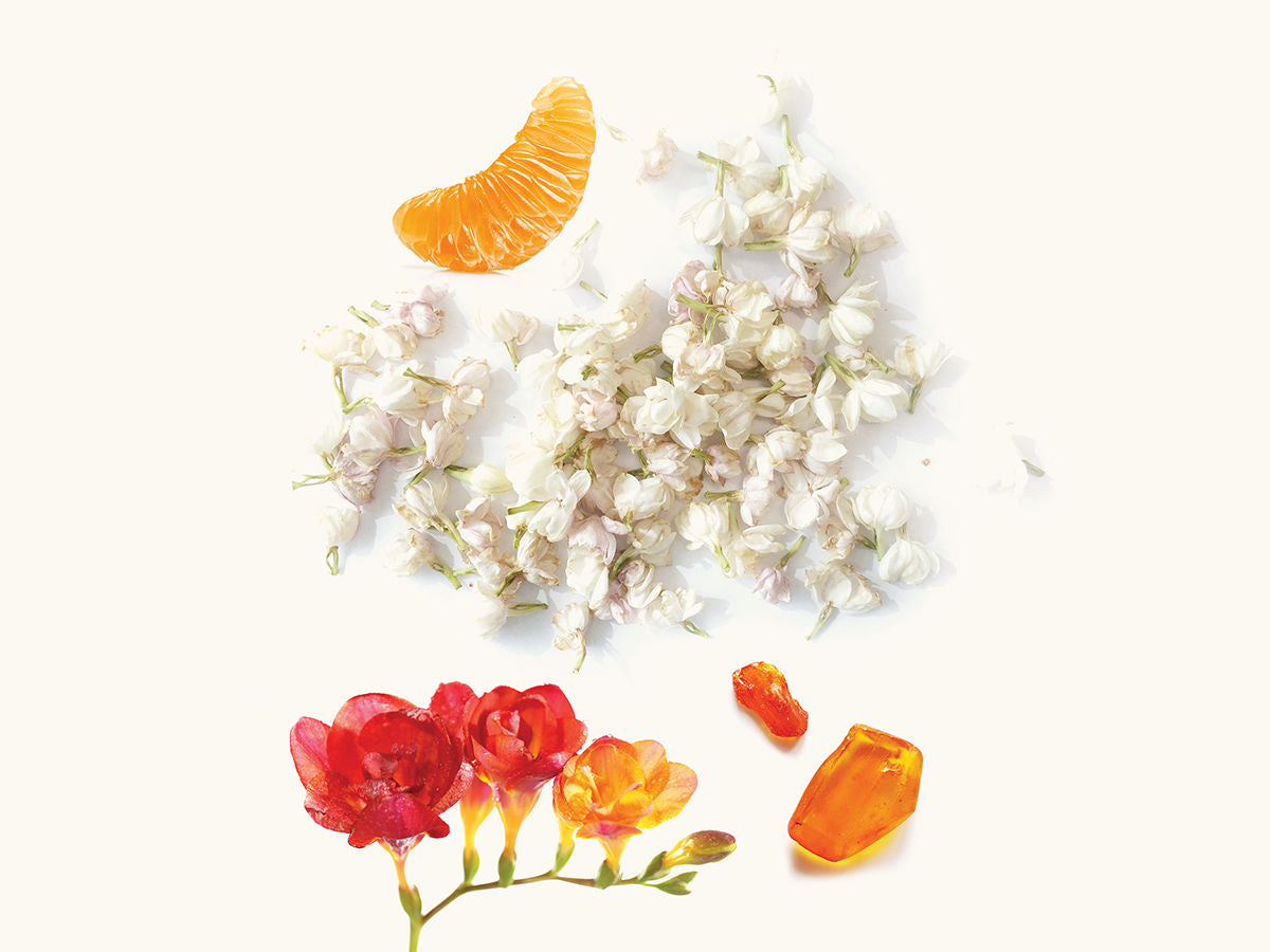 Delma Extrait de Parfum 50ml