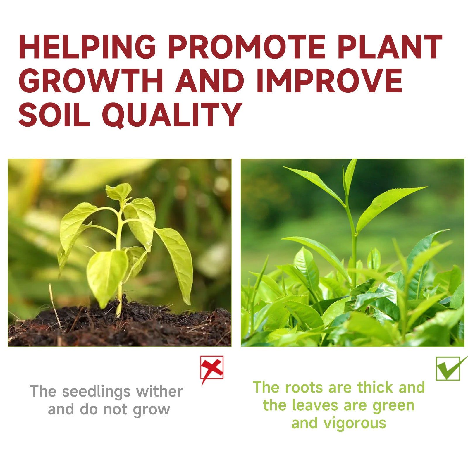 Boost Plant Growth with Organic Fertilizer Tablets, Slow-Release, Eco-Friendly ,22pcs