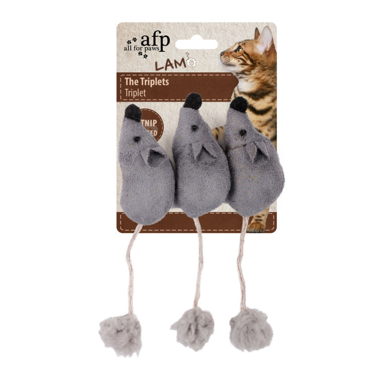 All For Paws Lambswool The Triplets Assorted - 6 pcs/pk
