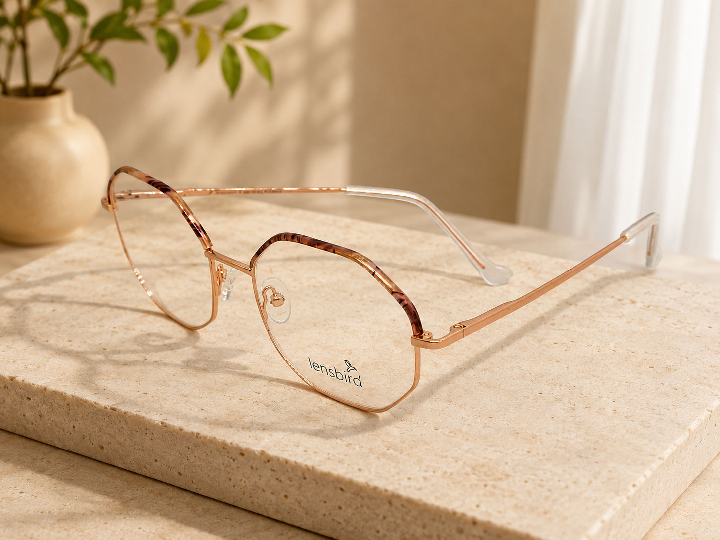Lensbird Unisex Eyeglass, L11116C2