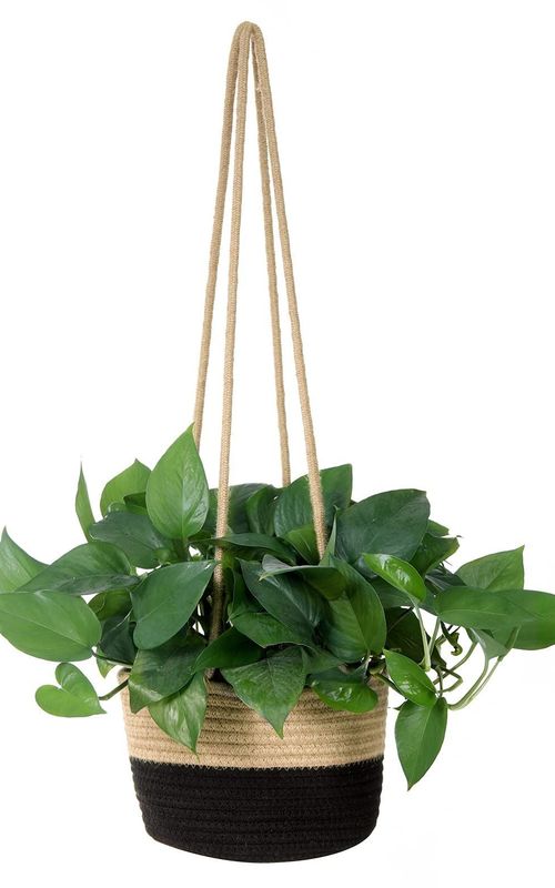 Jute Rope Woven Indoor Plant Hanging Holder For Decor